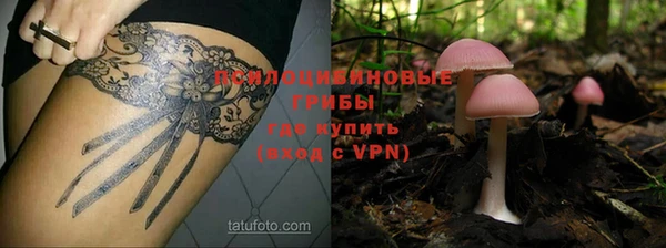 МДПВ Пестово