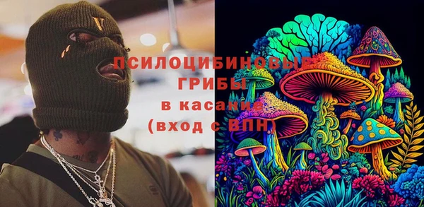 дурь Нягань