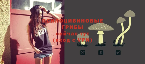 герыч Осинники