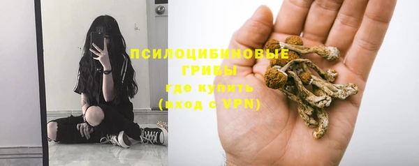 МДПВ Пестово