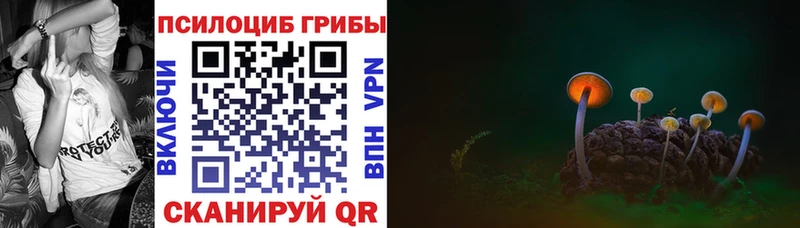 что такое наркотик  Луга  Псилоцибиновые грибы Psilocybine cubensis 