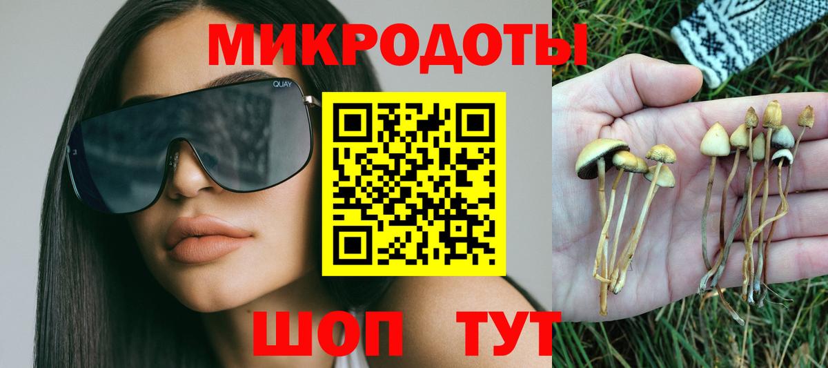 Луга  Псилоцибиновые грибы Magic Shrooms  Вход с VPN 