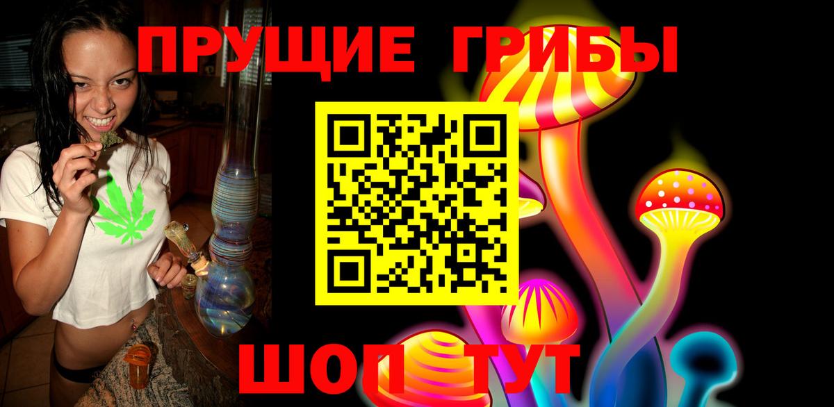 Псилоцибиновые грибы мицелий  Галлюциногенные грибы Psilocybine cubensis  как найти закладки  Луга 