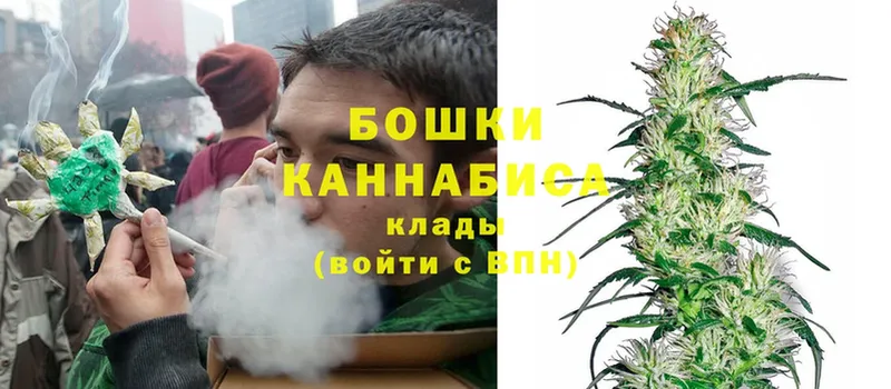 Канабис Bruce Banner  как найти наркотики  Луга 